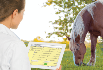 Veterinary